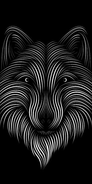 Phone wallpaper: Chb, Bw, Fox, Art, Lines free download