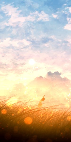 Phone wallpaper: Anime, Sunset, Sky, Field, Cloud free download