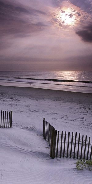 Captivating 4K beach wallpaper featuring tranquil sands and a moody sky