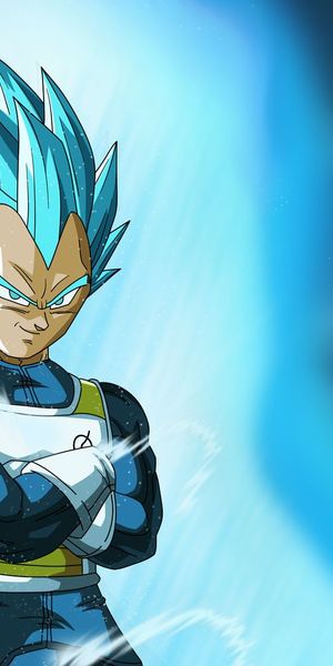 Epic Vegeta Wallpaper from Dragon Ball Super