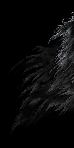 Dark Skull Phone Wallpaper - Hauntingly Beautiful Design