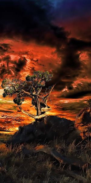 Phone wallpaper: Sunset, Artistic free download