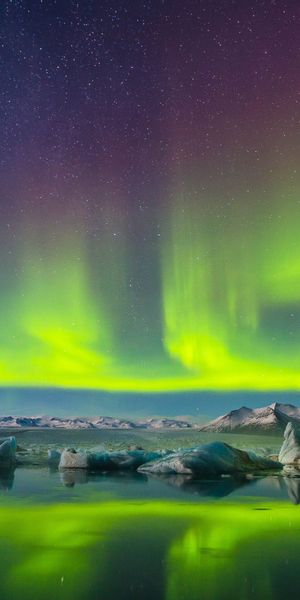 Breathtaking Aurora Borealis in a Snowy Night Landscape