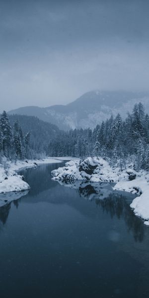 Serene Winter Landscape: Foggy River and Snow-Covered Trees - 4K Mobile Wallpaper