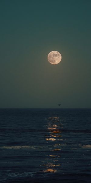 Moonlit Sea at Night - A Serene Mobile Wallpaper