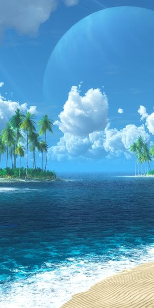 Tropical Beach Landscape with Lush Palms and Crystal Blue Waters