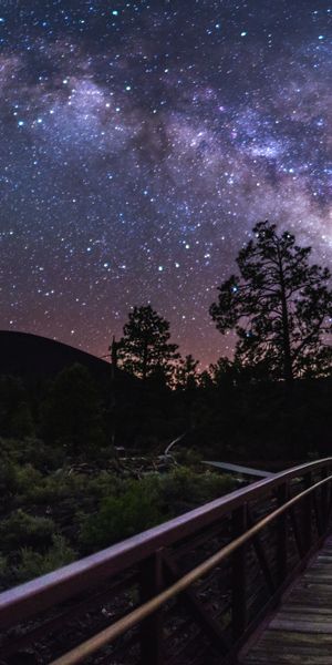 Phone wallpaper: Trees, Sky, Stars, Nature, Night, Silhouettes, Milky Way free download