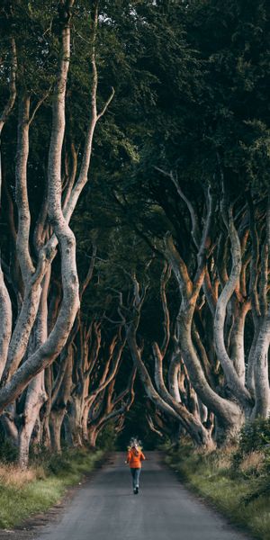 A Person Running Through a Majestic Tree-Lined Alley