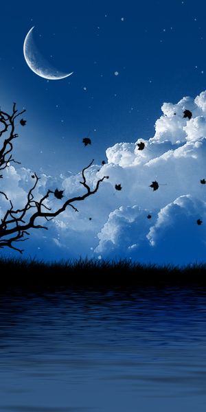 Moonlit Landscape with Tree and Clouds - Perfect Mobile Wallpaper