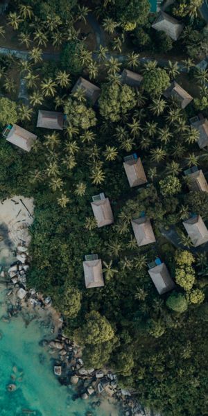 Aerial View of Tropical Shore with Lush Greenery