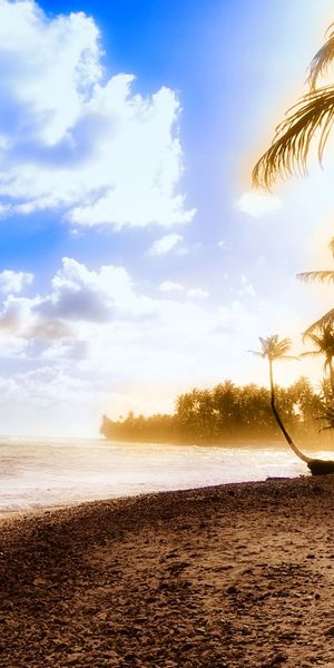 Phone wallpaper: Water, Beach, Tree, Earth, Cloud free download