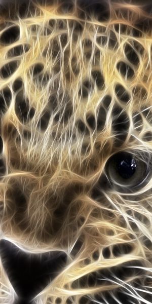 Phone wallpaper: Animals, Leopards, Art free download