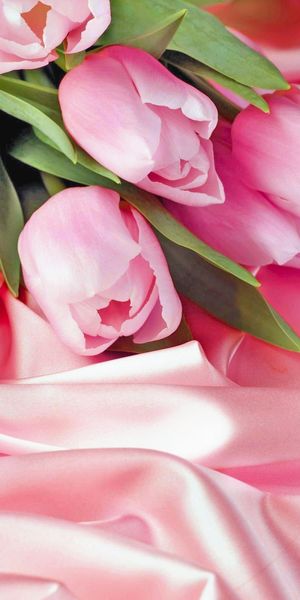 Charming 4K Wallpaper Featuring Pink Tulips on Soft Satin Background