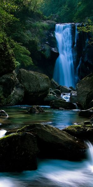 Breathtaking Waterfall Surrounded by Lush Vegetation