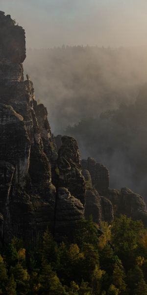 Phone wallpaper: Rock, Vertex, Top, Fog, Trees, Landscape, Nature free download