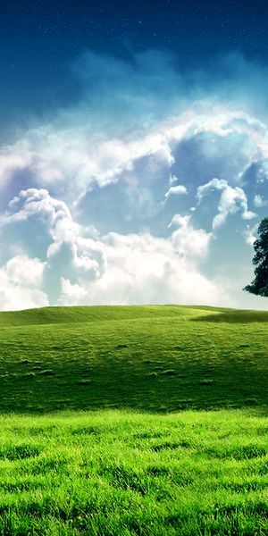 Beautiful Green Tree on a Hill with Dramatic Sky