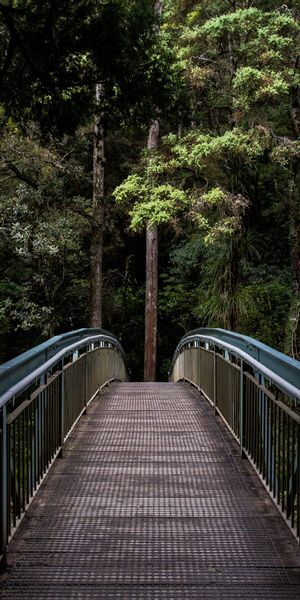 Phone wallpaper: Trees, Prospect, Perspective, Nature, Bridge, Forest free download
