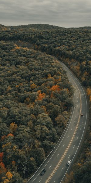 Phone wallpaper: Trees, Road, Markup, Car, Machine, Nature, Autumn free download