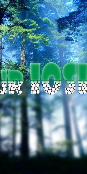Phone wallpaper: Forest, Blur, Leaf, Artistic free download