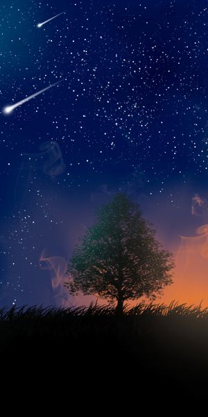 Beautiful Night Sky with Shooting Stars and Tree