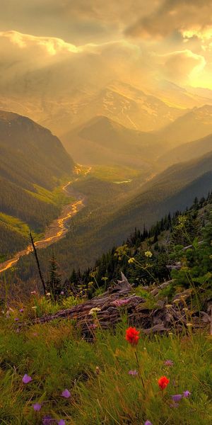 Breathtaking Sunrise Over Mountain Landscape with Colorful Wildflowers