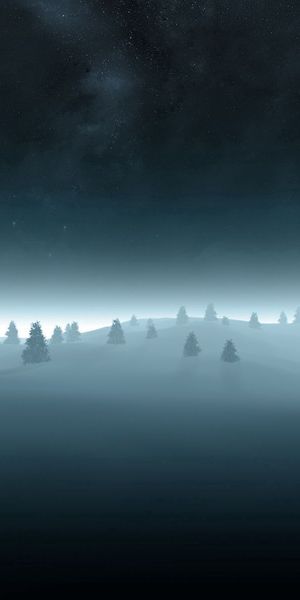 Phone wallpaper: Fog, Snow, Ate, Outlines, Trees, Nature, Gloomy, Darkness free download