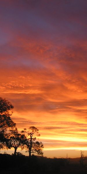 Breathtaking 4K Phone Wallpaper: Earth at Sunset with Vibrant Colors