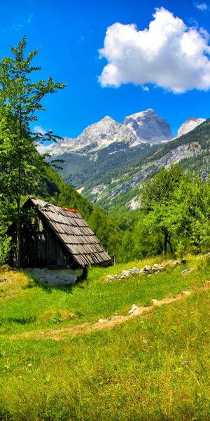 Breathtaking Summer Landscape of Slovenia with Mountains and Grass