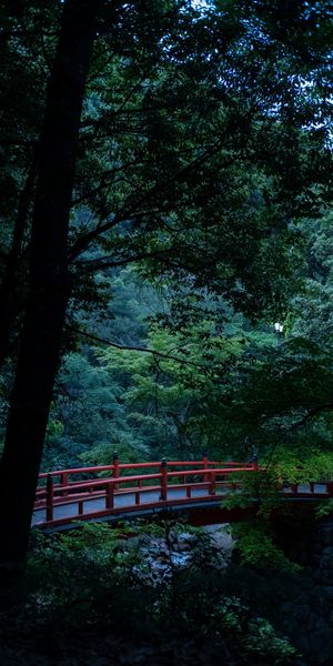 Tranquil Nature Scene with Red Bridge Surrounded by Lush Trees