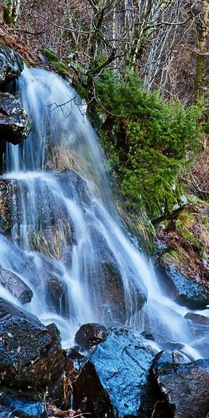 Phone wallpaper: Trees, Waterfall, Road, Asphalt, Nature free download