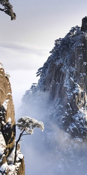 Phone wallpaper: Mountains, Snow, Mountain, Tree, Earth free download