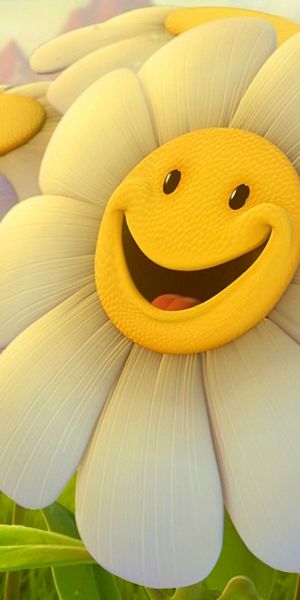 Joyful Smiling Camomile Flower Wallpaper