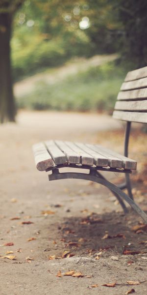 High-Quality Mobile Wallpaper Featuring a Tranquil Park Bench in Nature