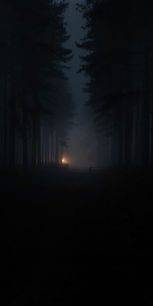 Mysterious Dark Forest with Fog and Shadows