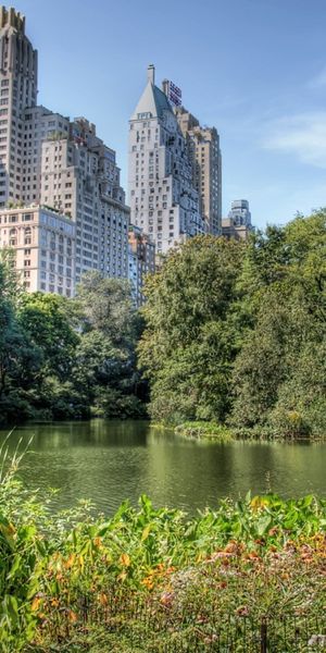 Phone wallpaper: Central Park, Manhattan, New York, Cities, Man Made, City free download