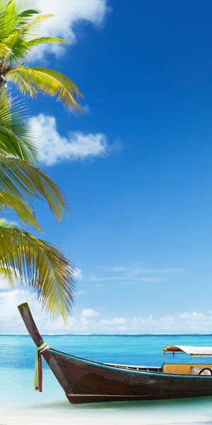 Tranquil beach landscape featuring boats, palms, and a vibrant blue sky