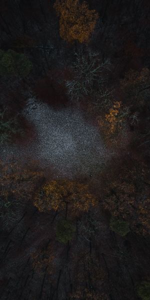Phone wallpaper: Trees, Forest, Glade, Polyana, View From Above, Nature free download