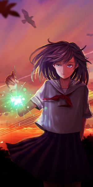 Phone wallpaper: Anime, Water, Sunset, Sky, Bird, Girl, Fireworks, Skirt, Purple Hair free download