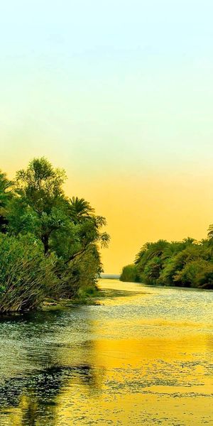 Breathtaking River View Surrounded by Lush Green Nature