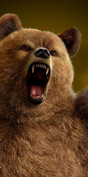 Fierce Tekken Bear - Ultimate Phone Wallpaper