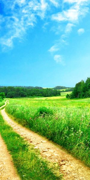 Green Meadow Landscape for Your Phone Wallpaper