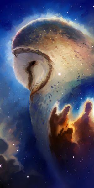 Majestic Owl Surrounded by Stars in a Cosmic Landscape