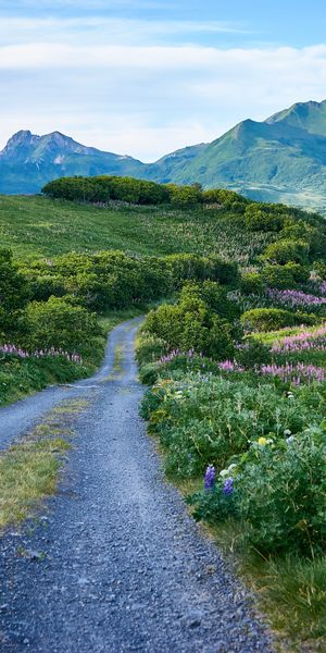 Breathtaking 4K Mobile Wallpaper of Lush Hills and Majestic Mountains