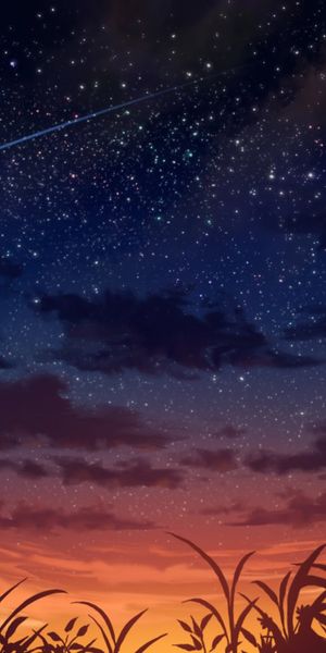 Enchanting anime wallpaper featuring a girl gazing at stars during sunset