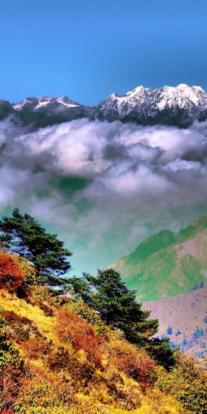 Explore the Majestic Singalila Ridge in the Himalayas