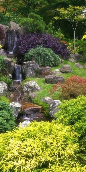Phone wallpaper: Trees, Landscape, Plants free download