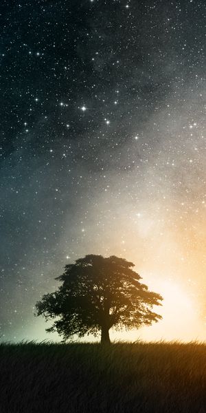 Beautiful Tree in a Dreamy World Under a Starry Sky