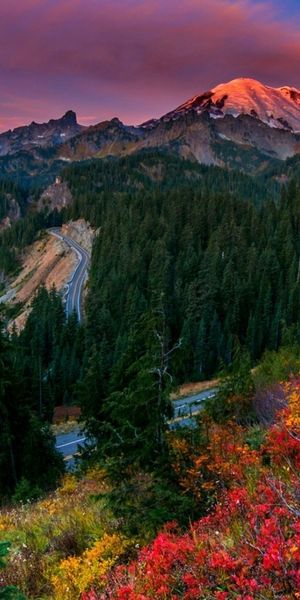 Pretty Mount Rainier in Fall Colors Under a Moonlit Sky
