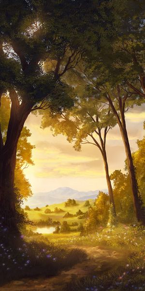 Tranquil Forest Landscape with Glowing Light