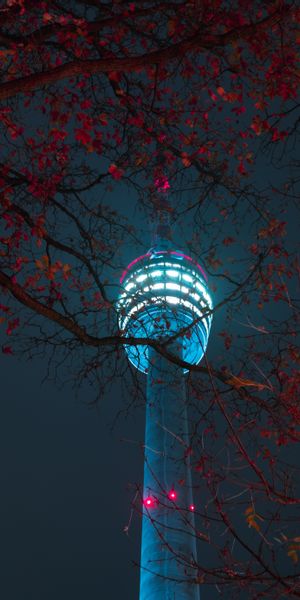 Mesmerizing Night Tower View Surrounded by Branches
